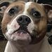 Corey Butts - Facebook