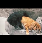 Gerry Camper - Facebook