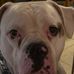 Corey Carroll - Facebook