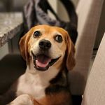 Corey Casey - @coreypcasey - Instagram