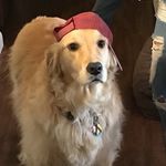 Cory Patty Cathcart - @sandy_our_sweet_golden - Instagram