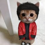 Cat - @coreycat.t - Instagram