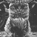 Cory Catt - Facebook