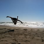 Cory Cauthen - @corycauthen - Instagram