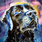 Corey Bobrosky - @coreychick6 - Instagram