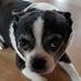Kory Coolidge - Facebook
