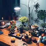 ghjj - @coreycorneliuscornelius5 - Instagram