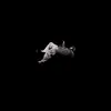 cosmos - @coreycosmos - TikTok