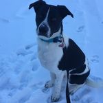 corey costa - @lifezabytch - Instagram