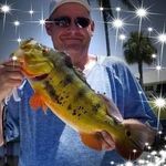 Corey Costa - @coreyc375 - Instagram