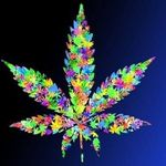 Corey Creech - @creech_corey - Instagram
