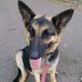 Corey Crisp - Facebook