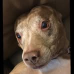 Corey Crosby - Facebook