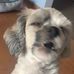 Corey Crossley - Facebook