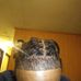 Corey Crowder - Facebook