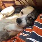 Corey Cuevas - Facebook