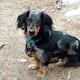 Corey Culp - Facebook