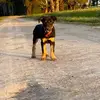 coreycurran606 - @corey6060 - TikTok