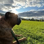 Cory Currier - @cory_currier - Instagram