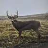 Corey Cortright - @coreycortright - TikTok