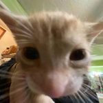 Corey Dotson - @coreyd403 - Instagram