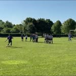 Corey dowling - @coreywhyuil - Instagram