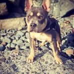 Corey Eccles - Facebook