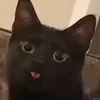 Corey J. Farris - @coreyj.farris06 - TikTok