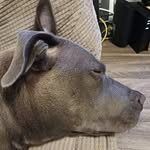 Corey fields - @xxcorey8352 - Instagram