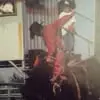 Cory Fox - @cory.fox02 - TikTok