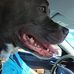 Cory Gallant - Facebook