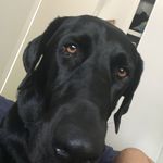 Corey Garcia - @coreygarcia100 - Instagram