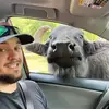 Corey Geller - @coreygeller - TikTok