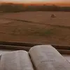 Cory Gibson - @cory.gibson51 - TikTok