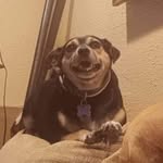 Corey Ginn - @ginncorey - Instagram