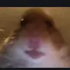 Give me money - @coreyxmxginn - TikTok