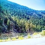 Cory Glidden - @cory.glidden.79 - Instagram