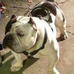 Cory Goins - @goinscory - Instagram