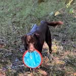 Corey Goldfarb - @coreygoldfarb - Instagram
