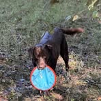 Corey Goldfarb - Facebook