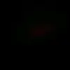 Cory.gooch - @cory.gooch - TikTok