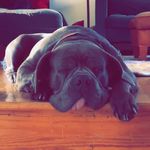 Corey Goodman - @g_man3001 - Instagram