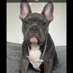 Corey Gould - @coreygould01 - Instagram