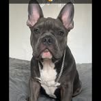 Corey Gould - Facebook