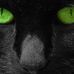 Cory Grammer - Facebook