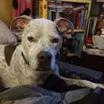 Corey Beth Greaves - @aquariusrising1983 - Instagram