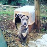 coreygrierjeroncj - @coreygrierjeroncj - Instagram