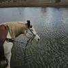 cory griffith - @cory.griffith - TikTok