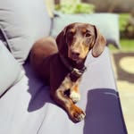 Corey Griffiths - @c0r3yinsta - Instagram