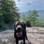 Corey Gross - @cgross_ - Instagram